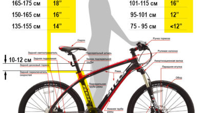 Photo of Как измерить рост для подбора велосипеда